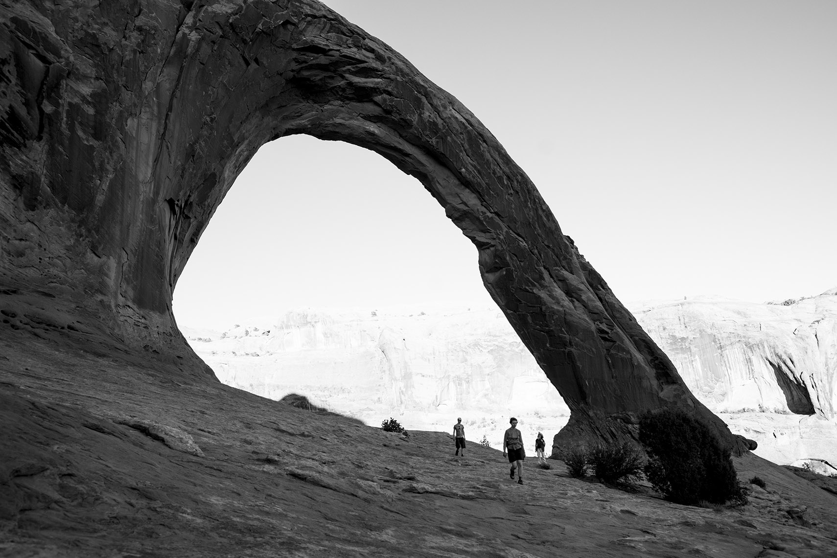 Coronal Arch with people 
